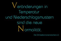 Schneekannonenrutscher